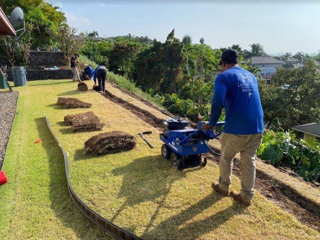Local hawaii landscapers removing old turn and installing new turf in the Kailua-Kona area.