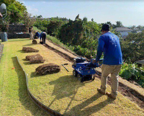 Local hawaii landscapers removing old turn and installing new turf in the Kailua-Kona area. Best Hawaii landscape services.