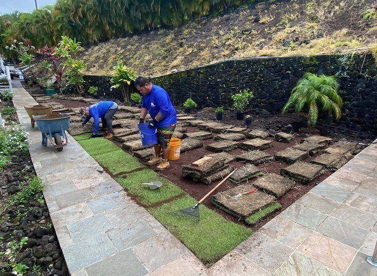 Big island landscaping crew doing a Kailua-Kona turf installation on Hawaii.