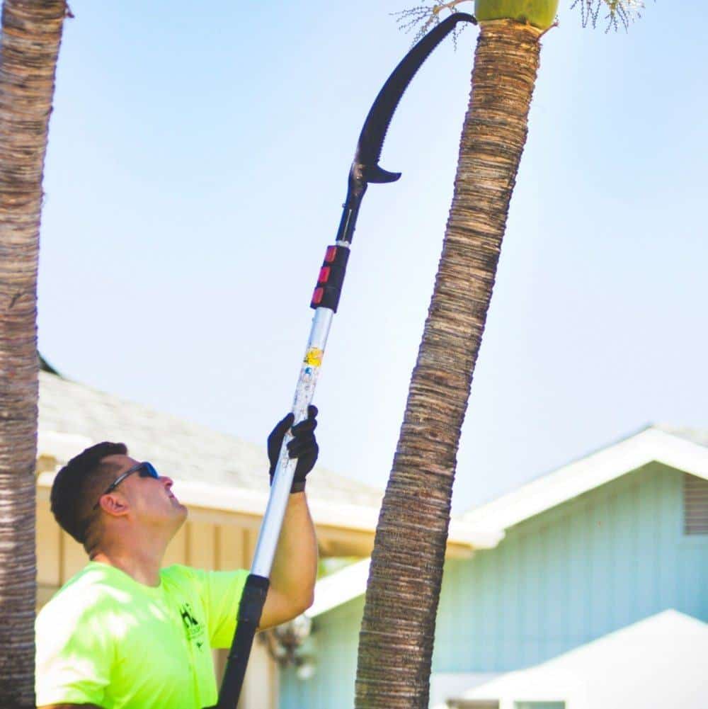 landscaper in Kailua-Kona tree trimming with a pole saw.