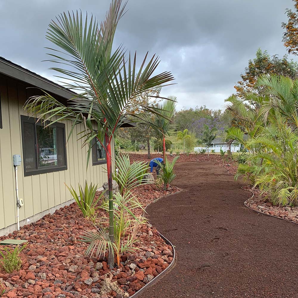 Hawaii flowerbed being installed in Kona by a skilled landscaper. This installation includes lava rock, vinyl edging, and a variety of palm shrubs.