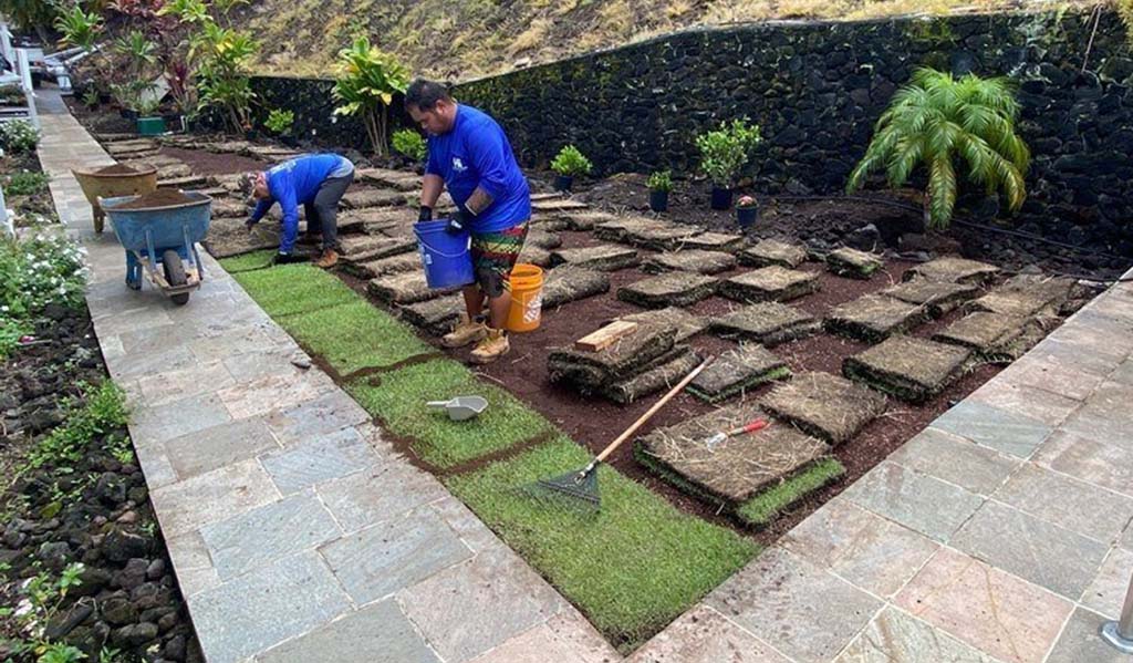 Hawaii landscapers install turf. Kona turf installation on big island.
