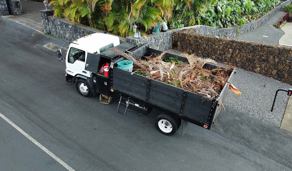 Hawaii hedge pruning and trimming service in Kona load debris into truck as part of their big island trimming services.