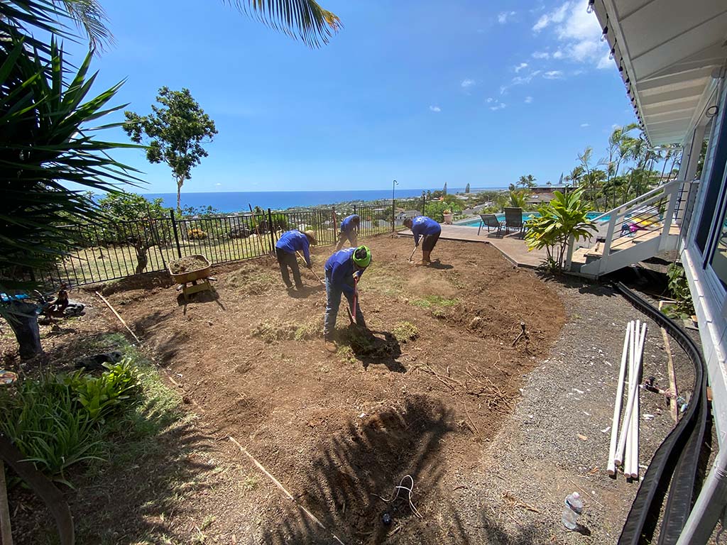 Hawaii landscapers cleaning up old grass and debris from a lawn near kona.