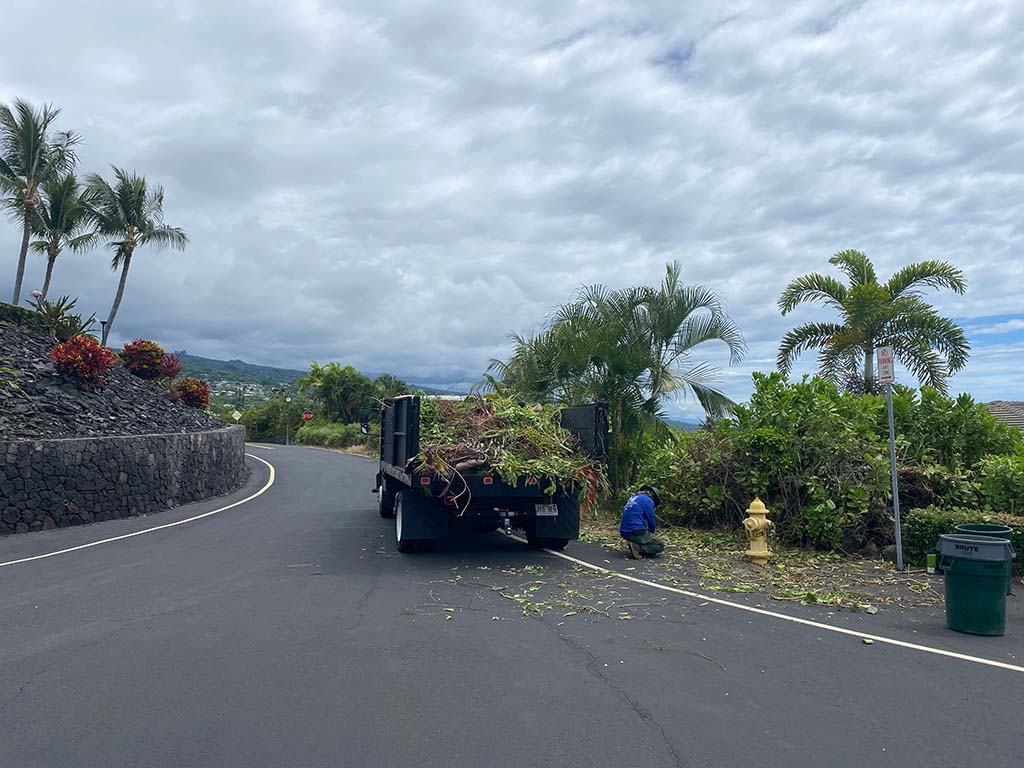 landscape cleaning service, Kona Hawaii. Landscaper loading leaves and branches into a truck to be disposed of.