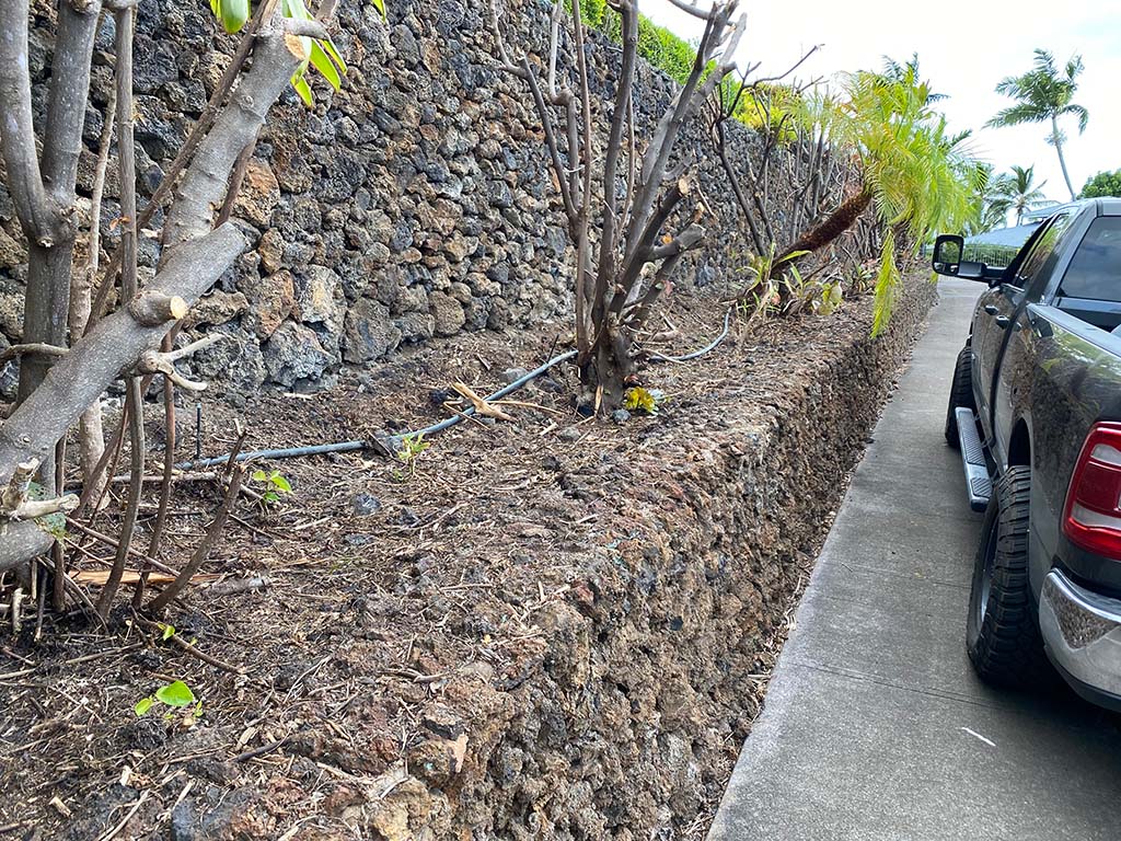 Kona landscape company trimming bushes and hedges on the big island of Hawaii.