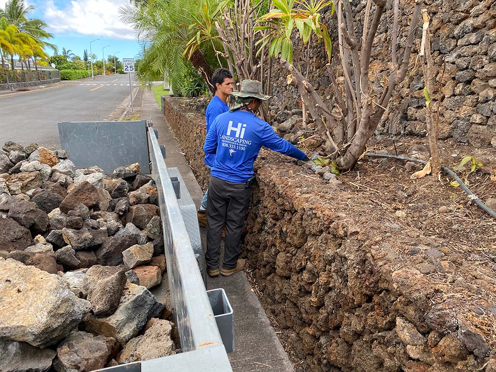 Kona Landscapers install lava rocks as part of a Hawaii landscaping service.
