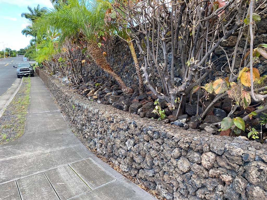 Image of a completed Kona landscape clean-up, tree trimming, and rock installation project.