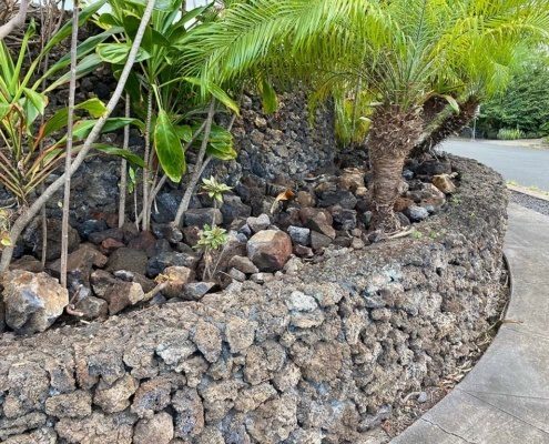 Big island landscapers trimmed trees, performed landscaping clean-up, and installed decorative rock. Hawaii Landscape services.