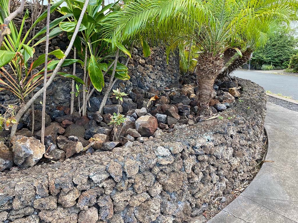 Big island landscapers trimmed trees, performed landscaping clean-up, and installed decorative rock. Hawaii Landscape services.