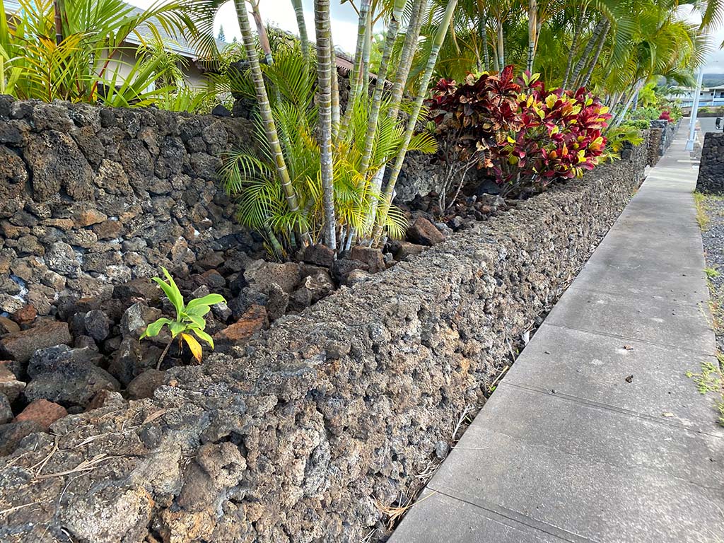 Completed Kona landscape project. Kailua-Kona landscaping services performed include tree trimming and landscaping clean-up services.