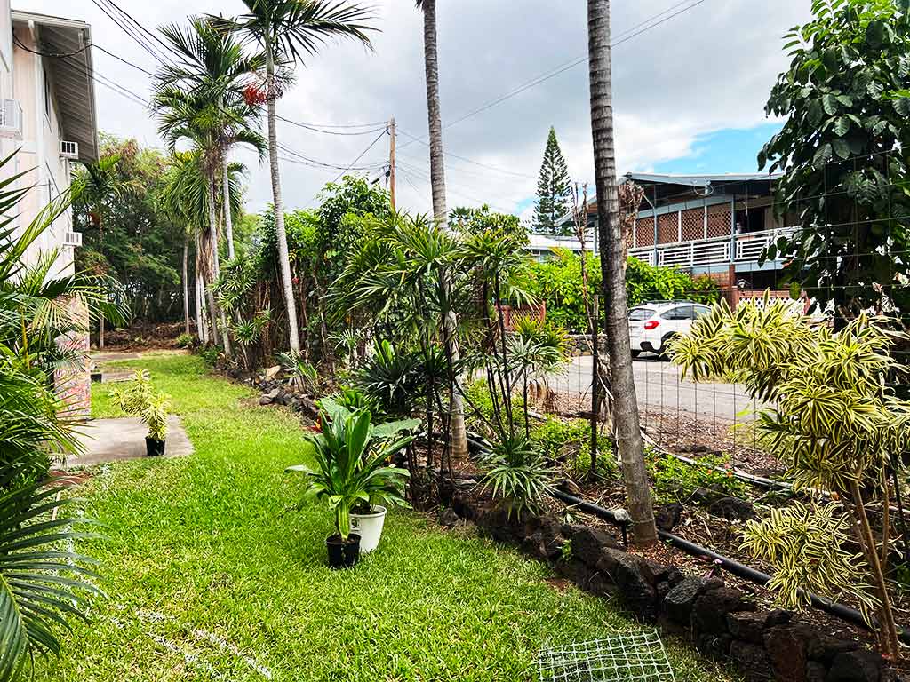 Landscaping clean-up with Hawaiian plant installation.