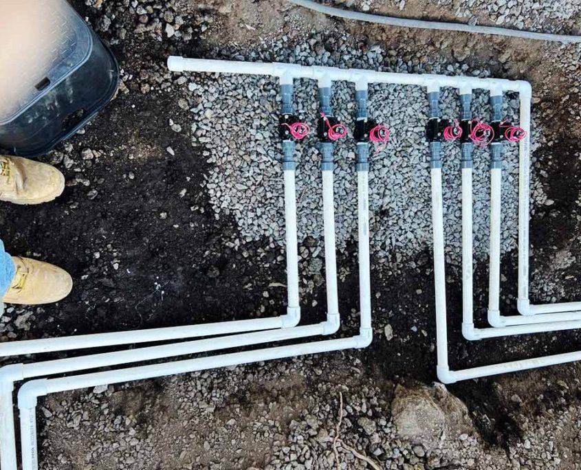Underground PVC pipes are being installed as part of an irrigation system.