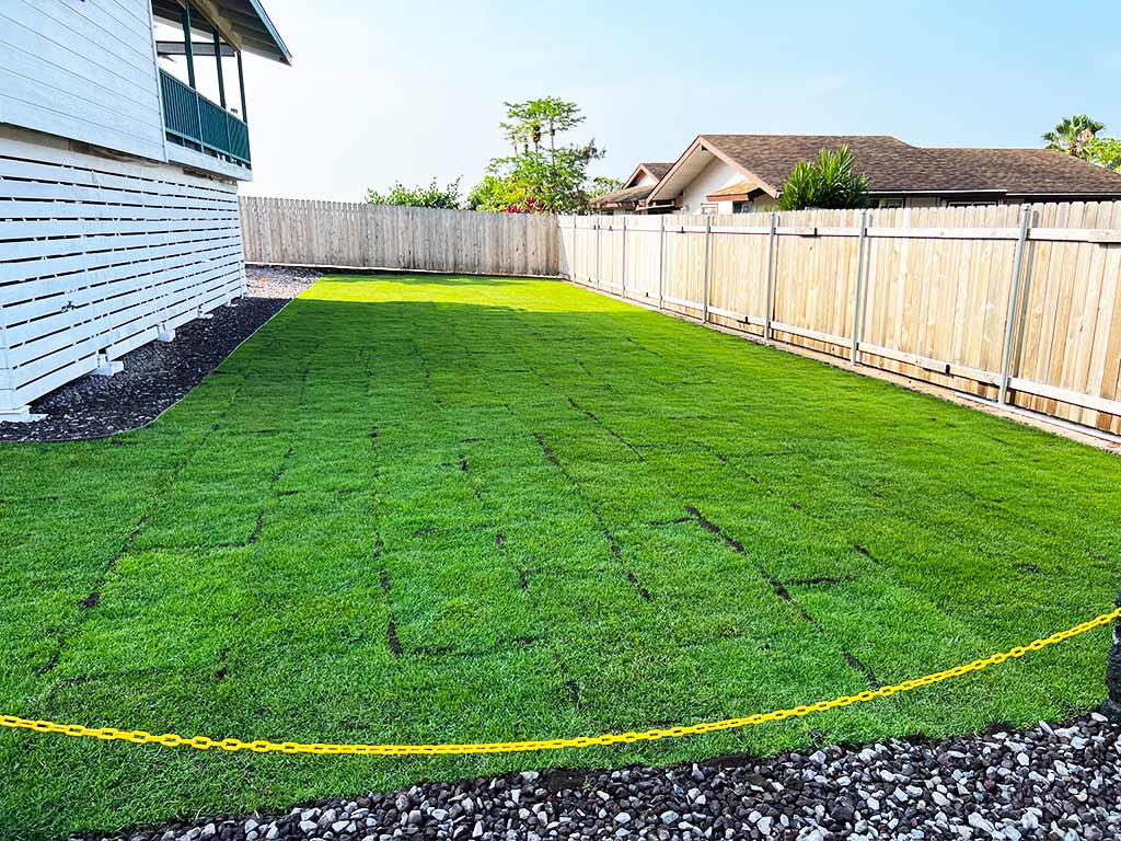 Square natural turf was installed in this big island backyard.