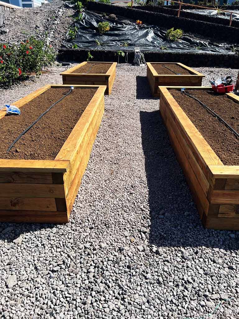 After filling the custom planter boxes with topsoil, dripline irrigation is being run.