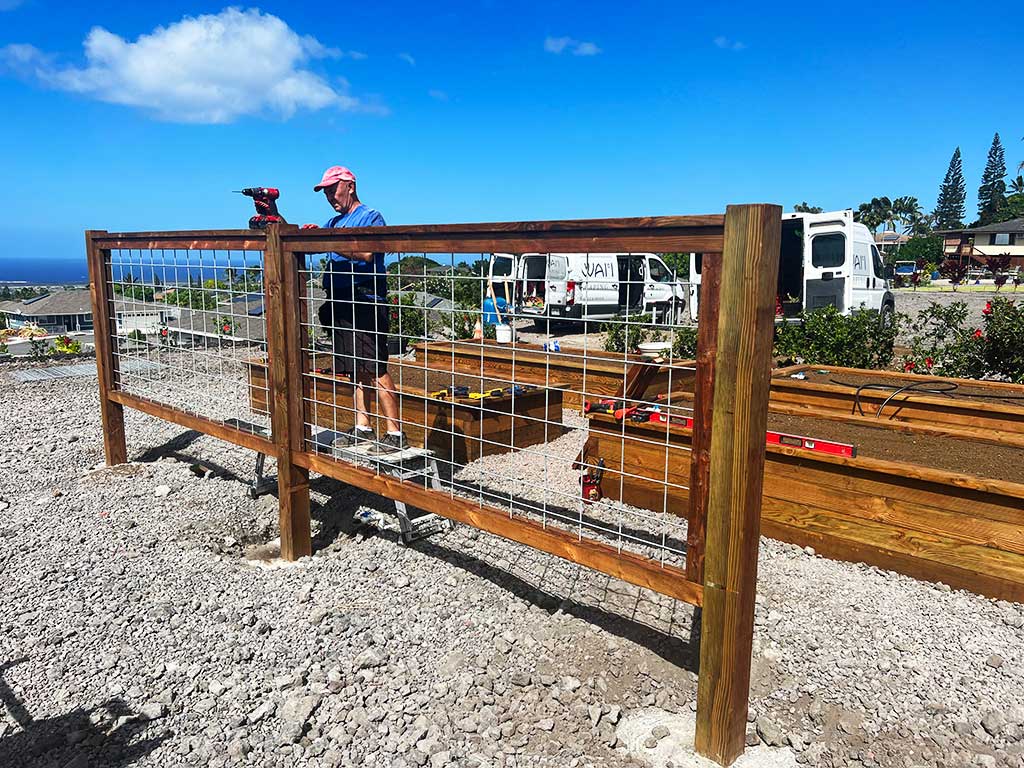 Professional landscaper installing a living fence, Kailua-Kona.
