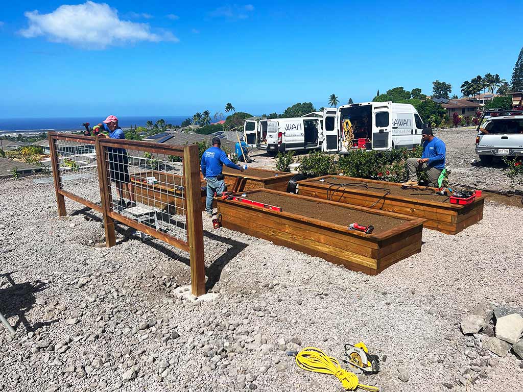 Big island landscapers build living fence and custom garden boxes.