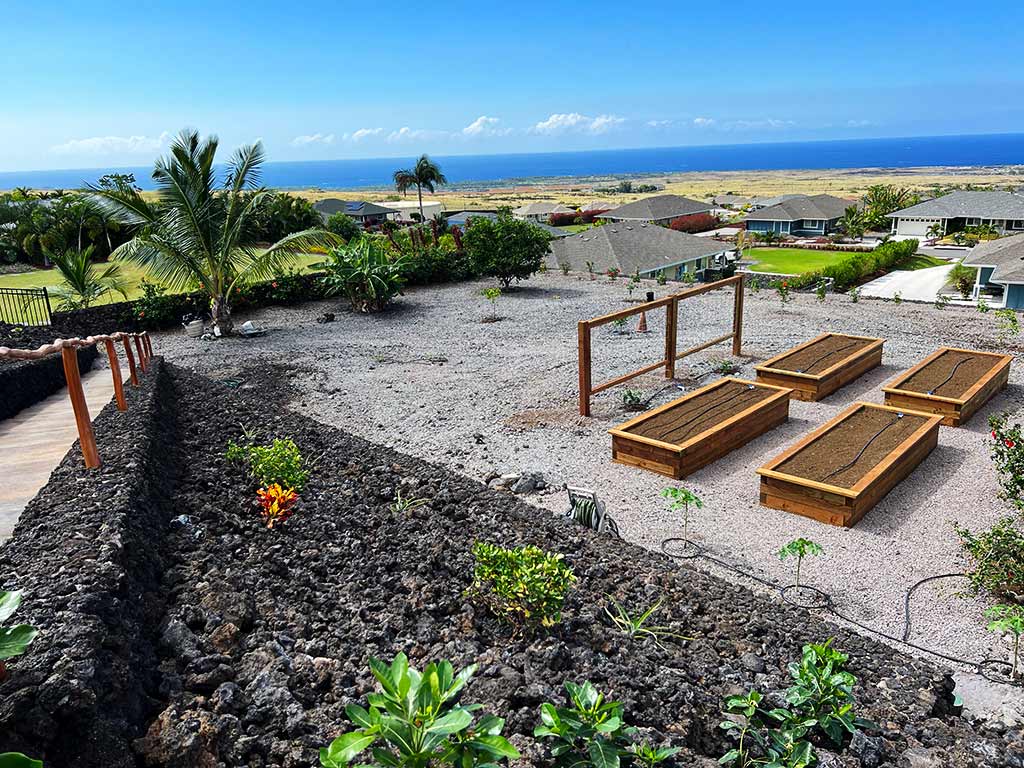 Native hawaiian foliage is planted in the lava rock ground cover on the retaining wall.