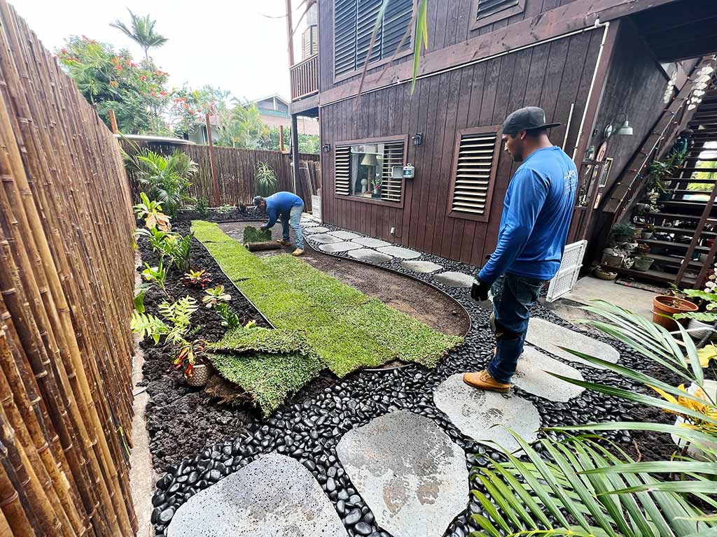 Landscapers install turn in a Kailua-Kona backyard.