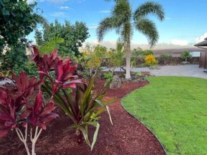 Vibrant local plants were added to a mulched flowerbed.