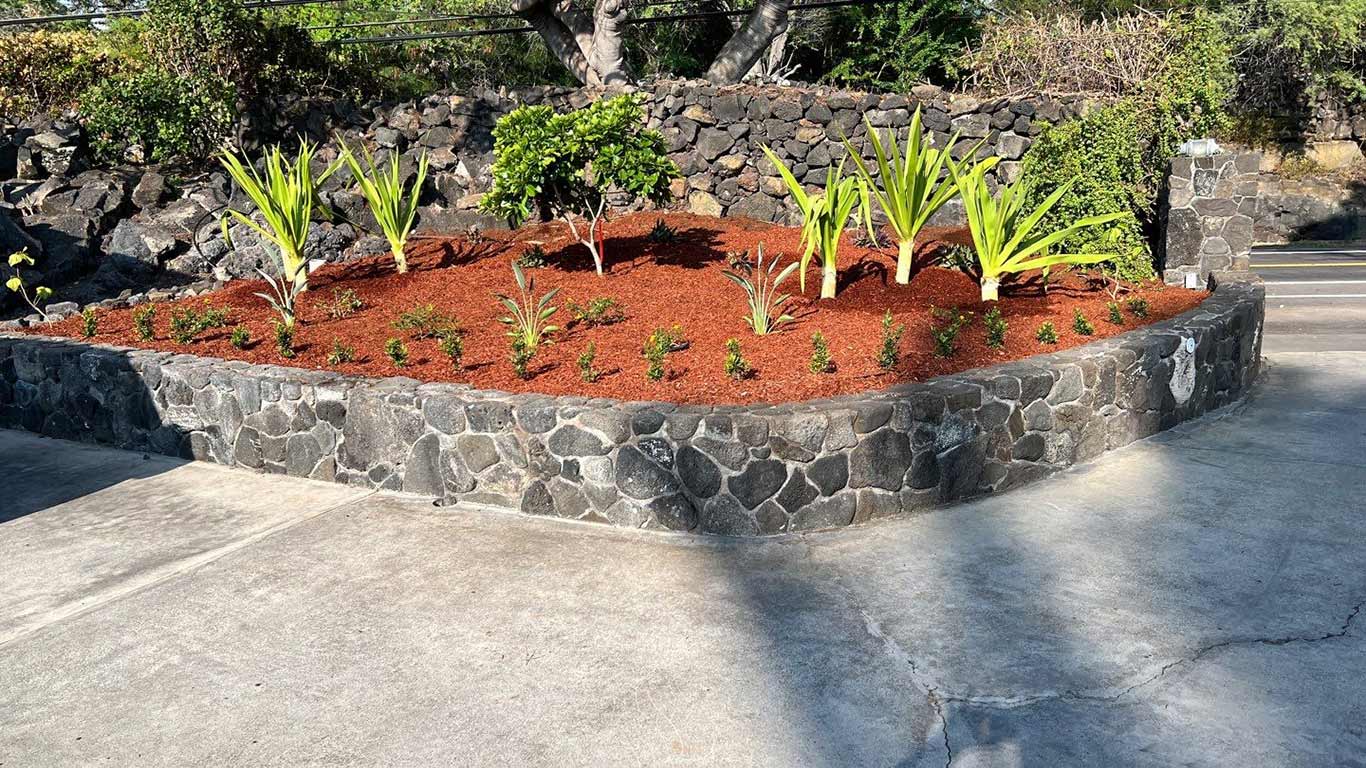 Newly installed planter with red mulch, big island landscape, Hawaii.