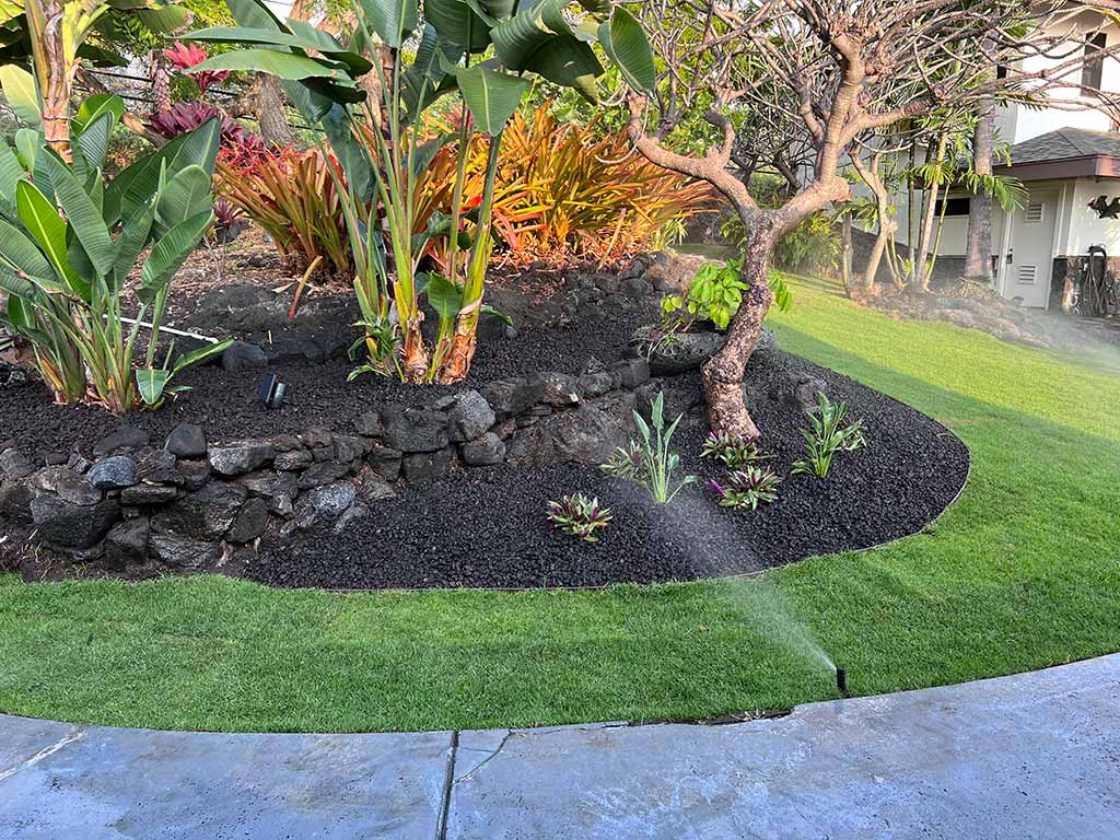 Finished flowerbed with native Hawaiian plants and lava rock ground cover.