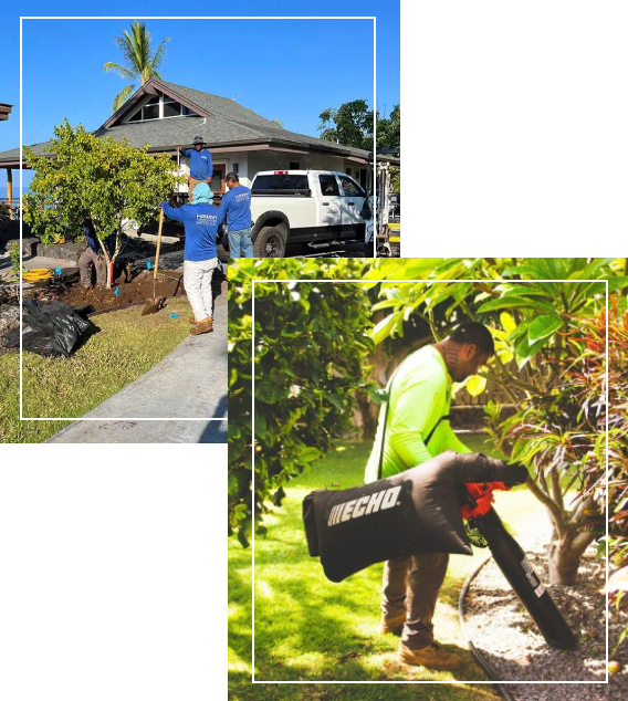 Commercial Oahu landscaping services. Honolulu landscapers, Oahu. Landscaping company, Honolulu, HI.