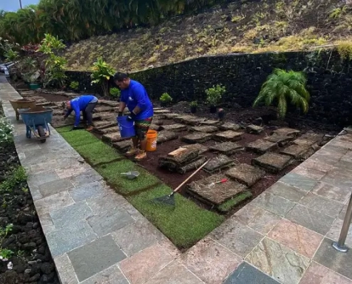 Hawaii landscapers install turf as one of our Kailua-Kona landscaping services. Big island landscaping company.