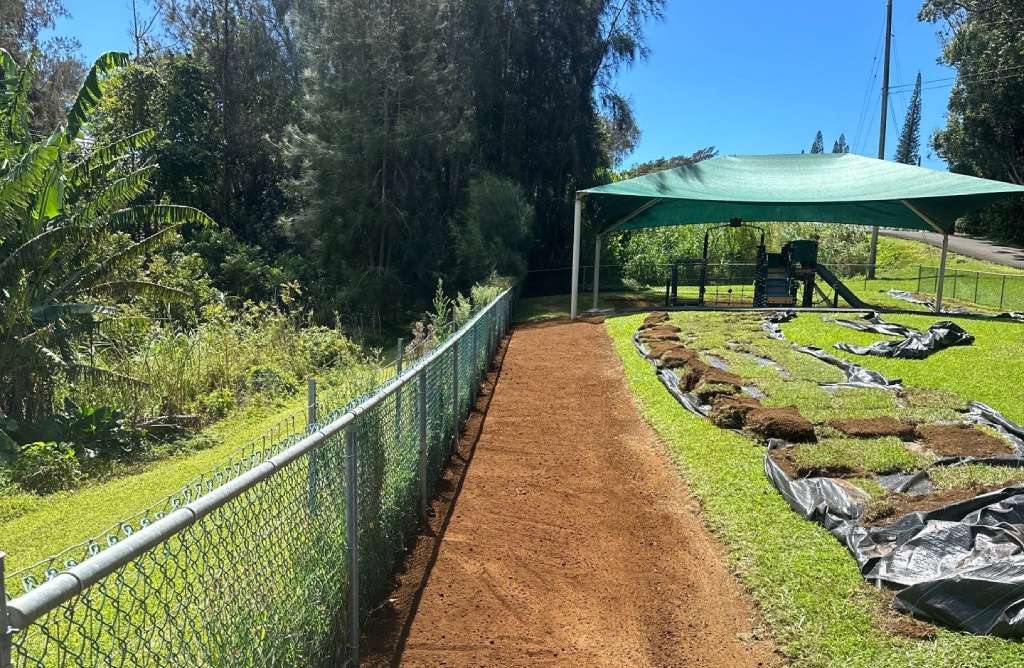 Big Island landscape experts level the area around the playground.