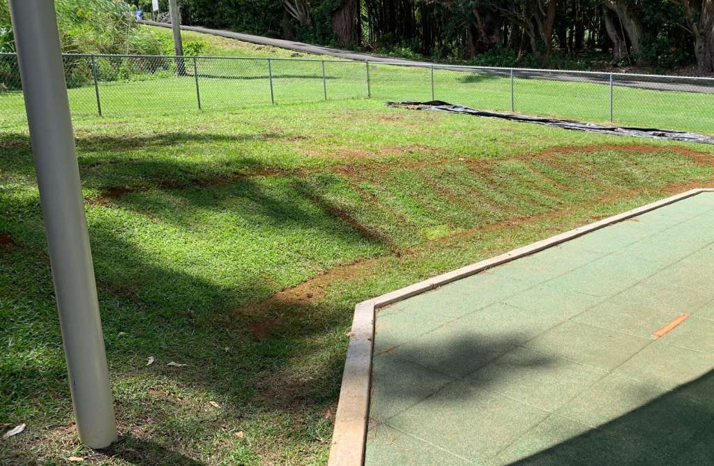 Fresh turf installation for playground yard.