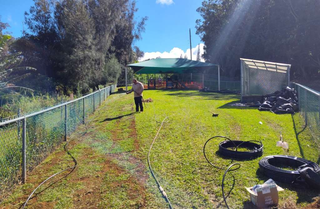 Temporary irrigation system added to water grass in high traffic areas.