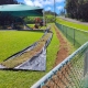 King Kamehameha Preschool playground lawn repair by Hawaii Landscaping.