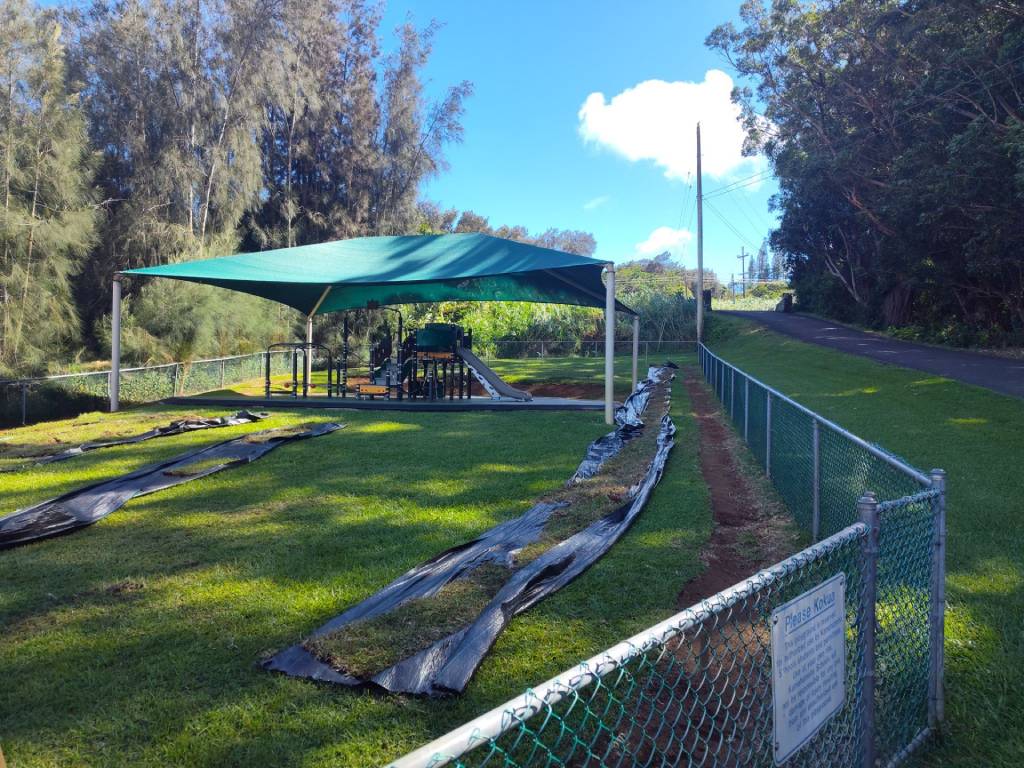 Tarps being used for clean-up after removing old turf.