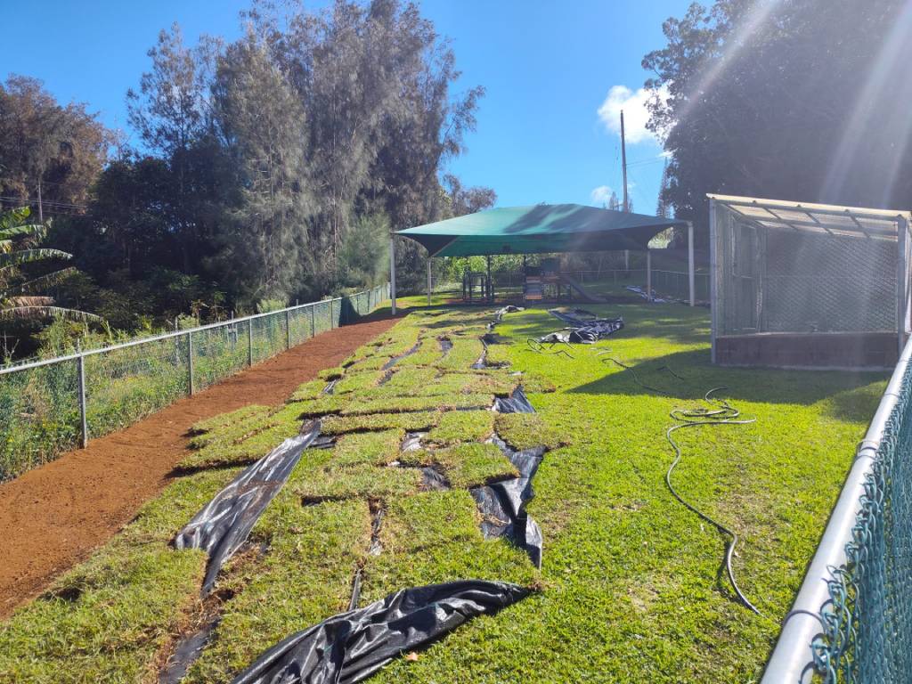 Kailua-Kona landscapers prepare to install turf.