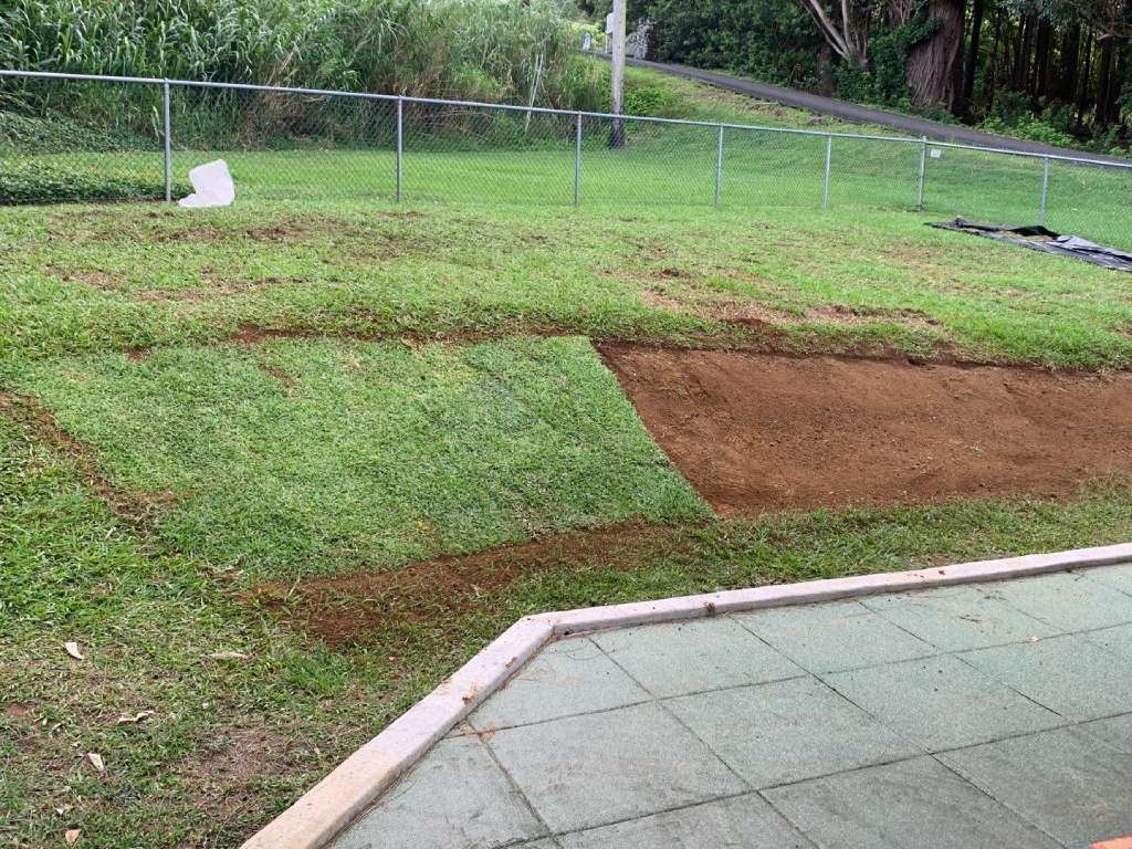 Turf replacement on the slopes near the playground.