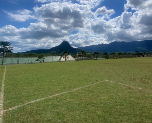 Grass growing after 3-5 days of reseeding services by Hawaii Landscaping.